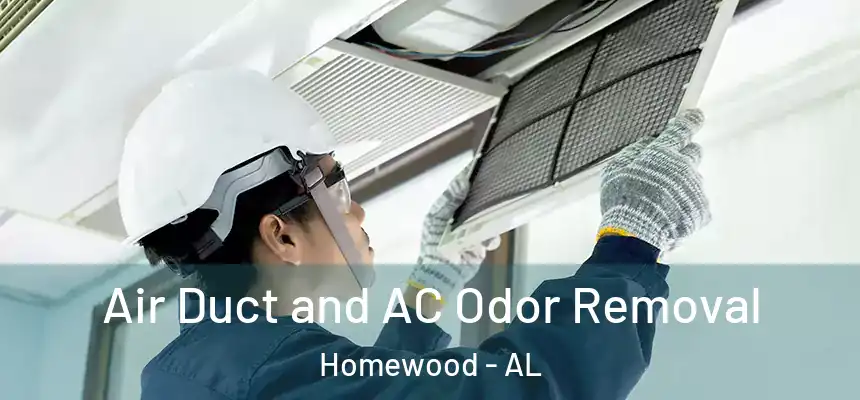 Air Duct and AC Odor Removal Homewood - AL
