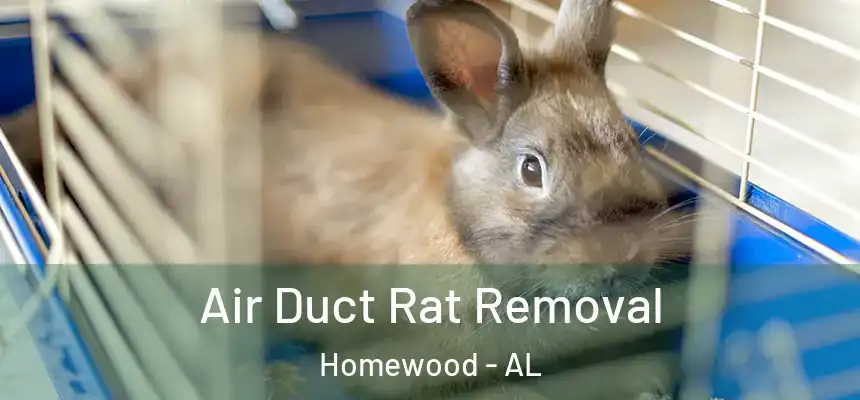  Air Duct Rat Removal Homewood - AL