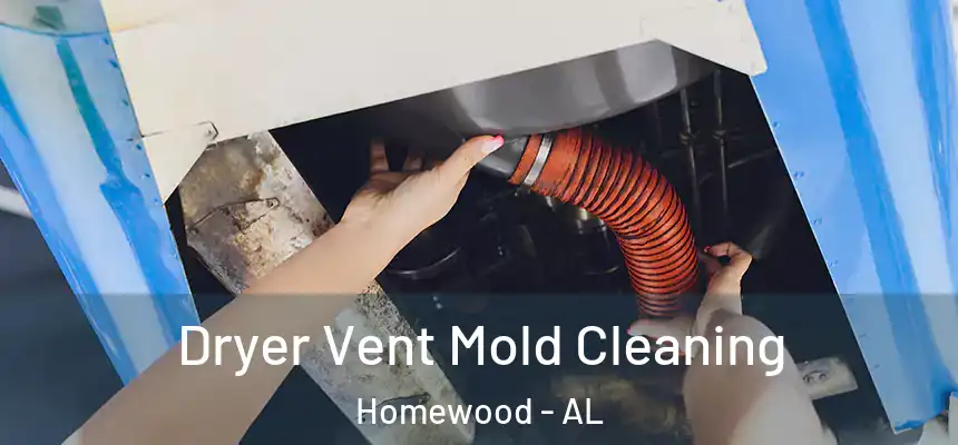  Dryer Vent Mold Cleaning Homewood - AL
