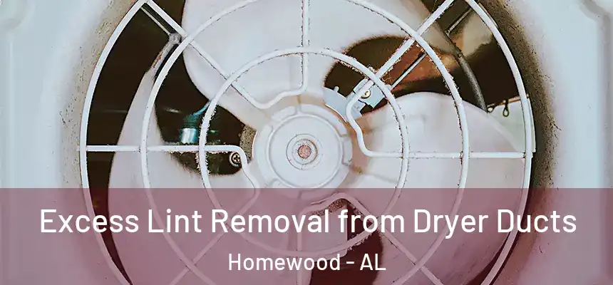 Excess Lint Removal from Dryer Ducts Homewood - AL