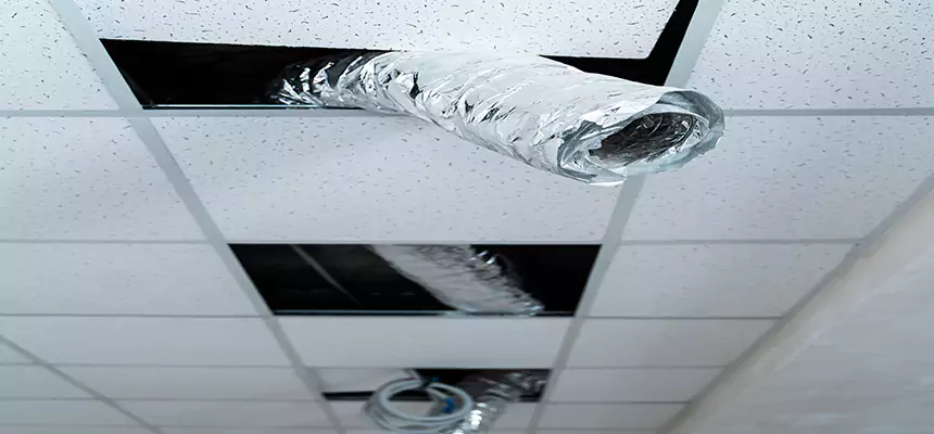 Our Air Duct Pet Hair Removal Services in Homewood, AL