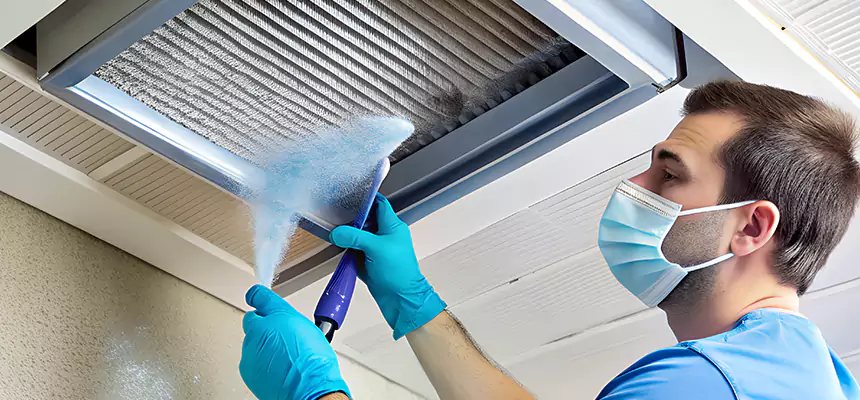 Proactive Dryer Vent & Auxiliary Duct Pollen Cleanup in Homewood, AL
