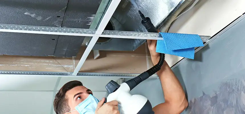 Our Air Duct Rodent Removal Services in Homewood, AL