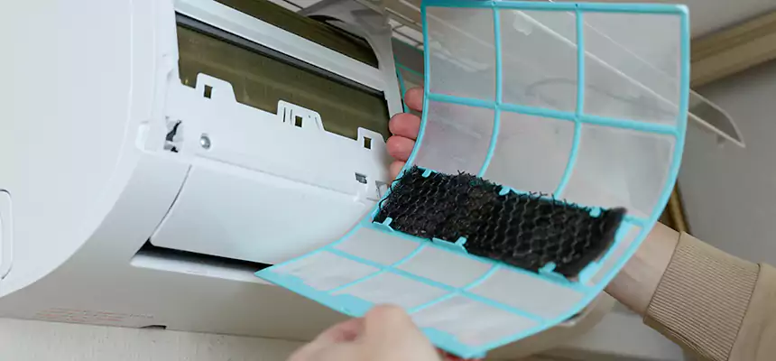 Gentle Ductwork Odor-Control Pet Dander Duct Cleaning in Homewood, AL