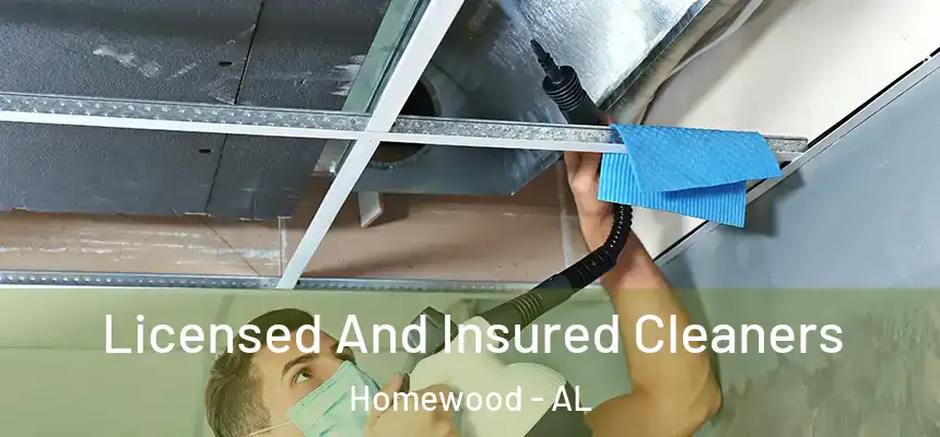  Licensed And Insured Cleaners Homewood - AL