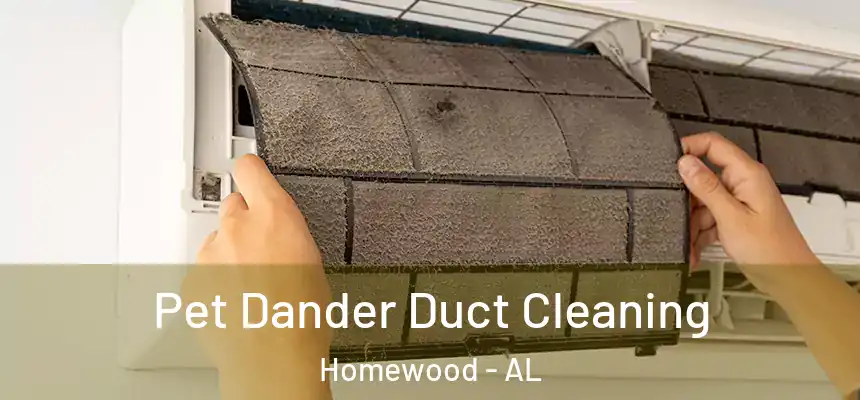 Pet Dander Duct Cleaning Homewood - AL