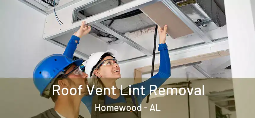 Roof Vent Lint Removal Homewood - AL