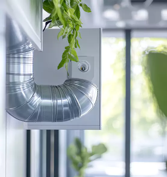 Professional Eco-Safe Dryer Vent Cleaning in Homewood, AL