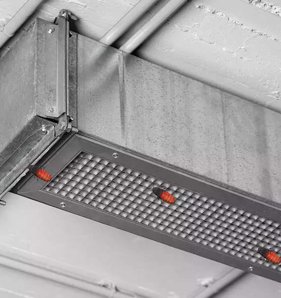 Affordable Insect Removal from Air Ducts in Homewood, AL