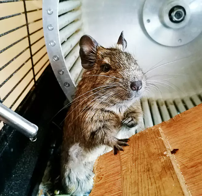 Why Homeowners & Businesses Trust Us Homewood, AL