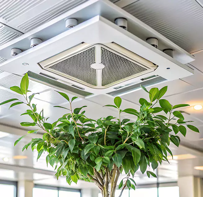 Why Homeowners & Businesses Trust Us in Homewood, AL?