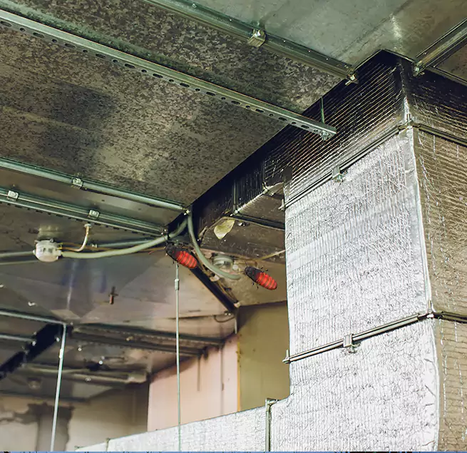 Why Homeowners & Businesses Trust Us Homewood, AL?